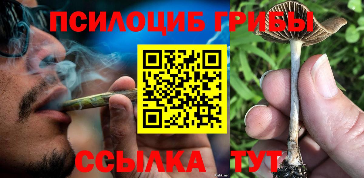 Галлюциногенные грибы мицелий Печора